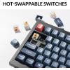 Keychron V6 Max Wireless Custom Mechanical Keyboard, 2.4 GHz Bluetooth QMK Full-Size Layout RGB with Hot-swappable Gateron Brown Switch Compatible with Mac Windows Linux(Hot-swap Keychron K Pro Silent Red Switch)