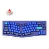 Keychron Q8 Wired Custom Mechanical Keyboard Knob Version, 65% Alice Layout QMK/VIA Programmable with Hot-swappable Gateron G Pro Red Switch Double Gasket Compatible with Mac Windows Linux (Blue)(Hot-swap Gateron G Pro Red)