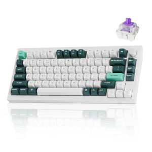 Keychron Q1 HE Wireless QMK Custom Mechanical Keyboard with Hall Effect Gateron Double-Rail Magnetic Switch Rapid Trigger, 2.4 GHz Bluetooth RGB Compatible with Mac Windows Linux (Hot-swappable)(White)