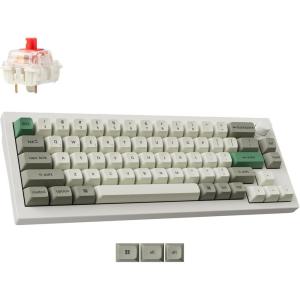 Keychron Q2 Max Wireless Custom Mechanical Gaming Keyboard, QMK/VIA Programmable Knob 2.4 GHz/Bluetooth 5.1/Wired, 65% Compact RGB Hot-Swap with Gateron Brown Switch for Mac Windows Linux – White(Gateron Jupiter Red Switch-White)