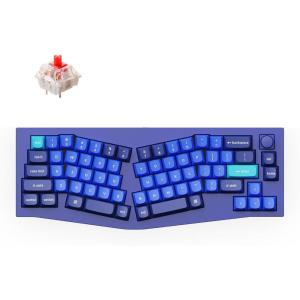 Keychron Q8 Wired Custom Mechanical Keyboard Knob Version, 65% Alice Layout QMK/VIA Programmable with Hot-swappable Gateron G Pro Red Switch Double Gasket Compatible with Mac Windows Linux (Blue)(Hot-swap Gateron G Pro Red)