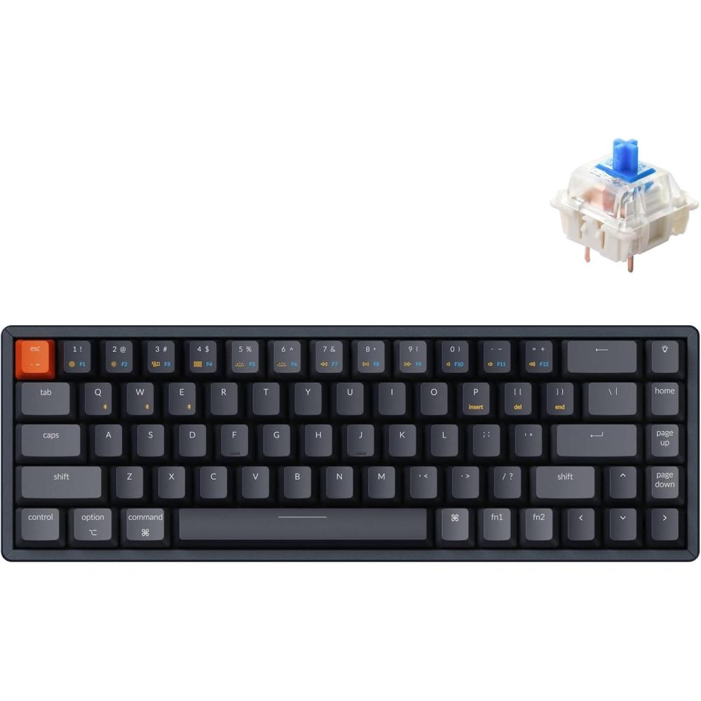 imageKeychron K6 Wireless Mechanical Keyboard 65 Compact Layout BluetoothWired RGB Backlit 68 Keys with Hotswappable Gateron G Pro Blue Switch Compatible with Mac WindowsHotswap Gateron G Pro Blue Switch