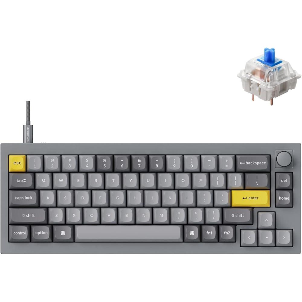 imageKeychron Q2 Wired Custom Mechanical Keyboard Knob Version 65 Layout QMKVIA Programmable Macro with Hotswappable Gateron G Pro Red Switch Double Gasket Compatible with Mac Windows Linux GreyHotswap Gateron G Pro Blue Switch