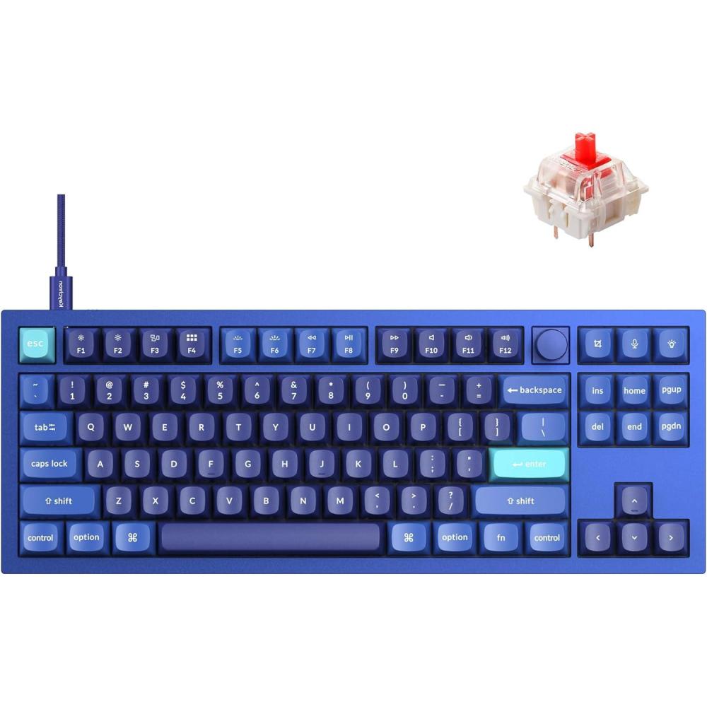 imageKeychron Q3 RGB Tenkeyless Layout QMKVIA Programmable Macro Hotswappable Wired Custom Mechanical Keyboard with Gateron G Pro Blue Switch Double Gasket Compatible with Mac Windows Linux BlueHotswap RGB Gateron G Pro Red Switch
