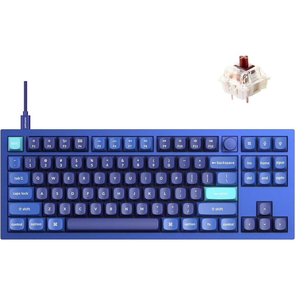 imageKeychron Q3 RGB Tenkeyless Layout QMKVIA Programmable Macro Hotswappable Wired Custom Mechanical Keyboard with Gateron G Pro Blue Switch Double Gasket Compatible with Mac Windows Linux BlueHotswap RGB Gateron G Pro Brown Switch