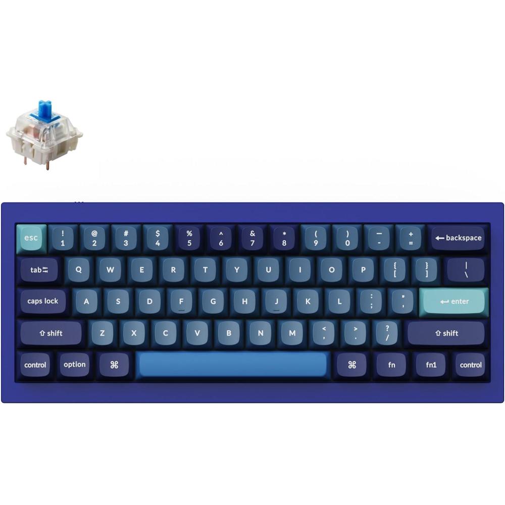 imageKeychron Q4 Wired Custom Mechanical Keyboard 60 Layout QMKVIA Programmable Macro with Hotswappable Gateron G Pro Red Switch Double Gasket Compatible with Mac Windows Linux Navy BlueGateron G Pro Blue Switch