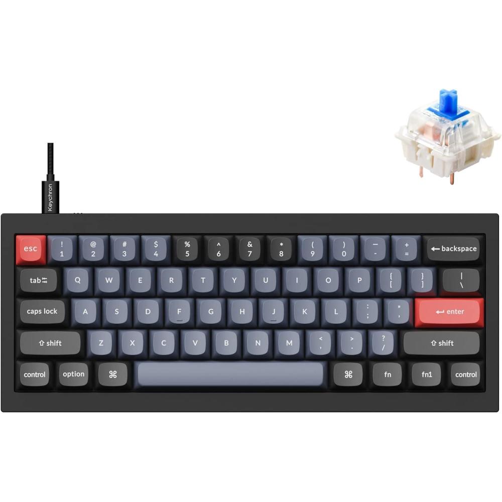imageKeychron Q4 Wired Custom Mechanical Keyboard 60 Layout QMKVIA Programmable Macro with Hotswappable Gateron G Pro Red Switch Double Gasket Compatible with Mac Windows Linux BlackHotswap Gateron G Pro Blue Switch