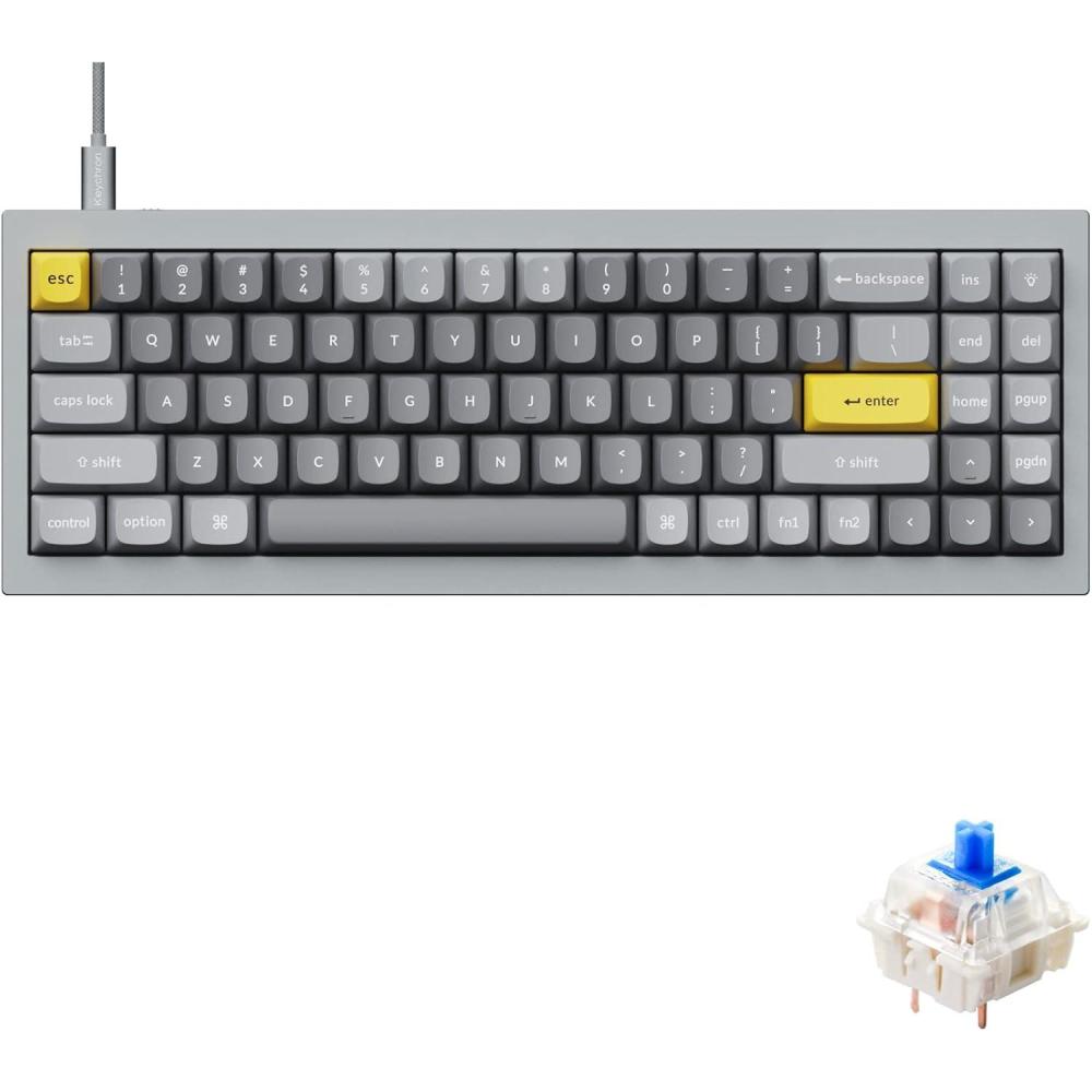 imageKeychron Q7 70 Layout HotSwappable RGB Wired Custom Mechanical Keyboard Compatible with Mac Windows Linux QMKVIA Programmable Macro Gateron G Pro Red Switch Double Gasket Kit Full AluminumBlueGateron G Pro Blue Switch  Grey