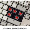 Keychron C2 Full Size Wired Mechanical Keyboard Compatible with Mac, Keychron Brown Switch, 104 Keys ABS Retro Color Keycaps Gaming Keyboard for Windows, USB-C Type-C Braid Cable(Keychron Red Switch)