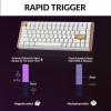 Keychron K2 HE Rapid Trigger Wireless Custom Mechanical Keyboard with Hall Effect Gateron Double-Rail Magnetic Switch, 2.4 GHz QMK Bluetooth 5.2 RGB Compatible with Mac Windows Linux (Aluminum + Wood)(Gateron Double-Rail Magnetic Switch – White)