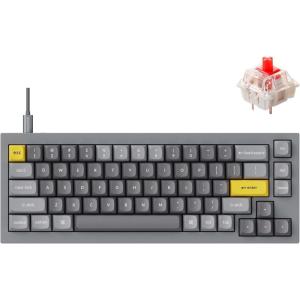 Keychron Q2 Wired Custom Mechanical Keyboard, QMK/VIA Programmable Macro, Full Aluminum, Hot-Swappable Gateron G Pro Red Switch, 65% Layout Double Gasket Compatible with Mac and Windows – Blue(Grey)