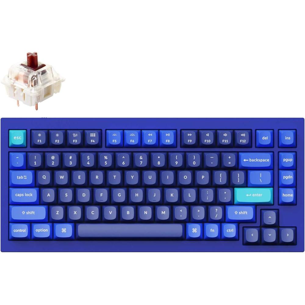 imageKeychron Q1 RGB Wired Custom Mechanical Keyboard 75 Layout QMKVIA Programmable Macro with Hotswappable Gateron G Pro Brown Switch Double Gasket Compatible with Mac Windows Linux Blue Version 2BlueGateron G Pro Brown Switch