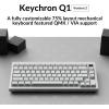 Keychron Q1 RGB Wired Custom Mechanical Keyboard, 75% Layout QMK/VIA Programmable Macro with Hot-swappable Gateron G Pro Blue Switch Double Gasket Compatible with Mac Windows Linux (White) -Version 2(White（Gateron G Pro Blue Switch）)