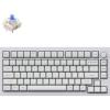 Keychron Q1 RGB Wired Custom Mechanical Keyboard, 75% Layout QMK/VIA Programmable Macro with Hot-swappable Gateron G Pro Blue Switch Double Gasket Compatible with Mac Windows Linux (White) -Version 2(White（Gateron G Pro Blue Switch）)