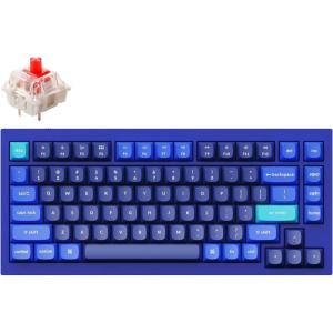 Keychron Q1 RGB Wired Custom Mechanical Keyboard, 75% Layout QMK/VIA Programmable Macro with Hot-swappable Gateron G Pro Blue Switch Double Gasket Compatible with Mac Windows Linux (White) -Version 2(Blue（Gateron G Pro Red Switch）)