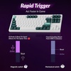 Keychron Q3 HE Wireless Custom Gaming Keyboard, 80% TKL Rapid Trigger, 2.4 GHz/Bluetooth/Wired, QMK Aluminum RGB Gateron Double-Rail Magnetic Switch PBT Keycaps for Mac Windows Linux, Purple(Shell White)